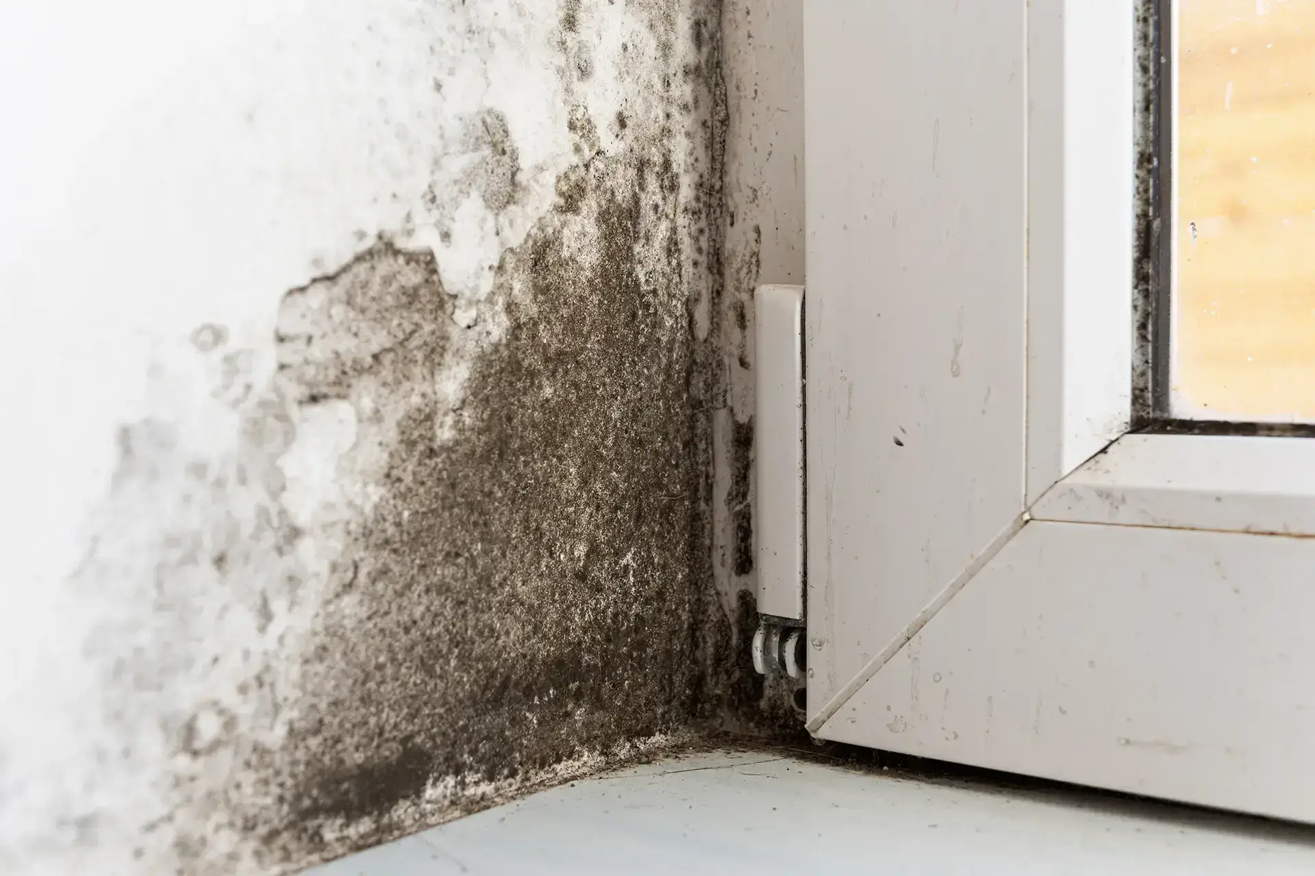 Leading Water Damage Restoration Company in Ellenwood — Ellenwood, GA